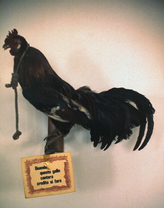 December 1971 - When this Rooster Sings